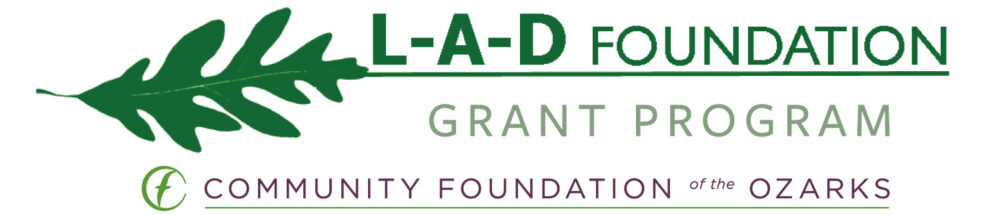 L a d foundation grant program