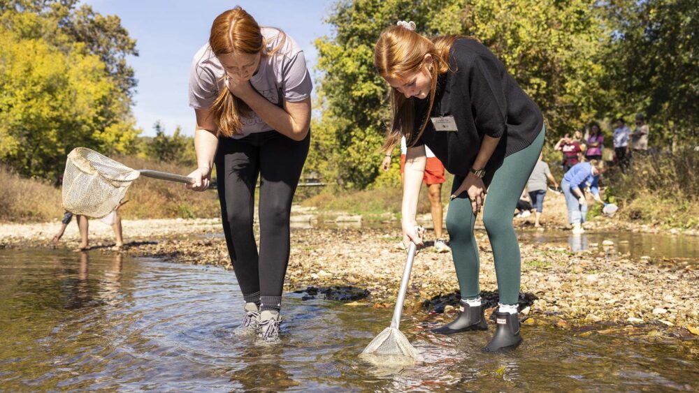 Two college students use nets to collect samples from a stream while others conduct similar activities in the background at Roaring River State Park.