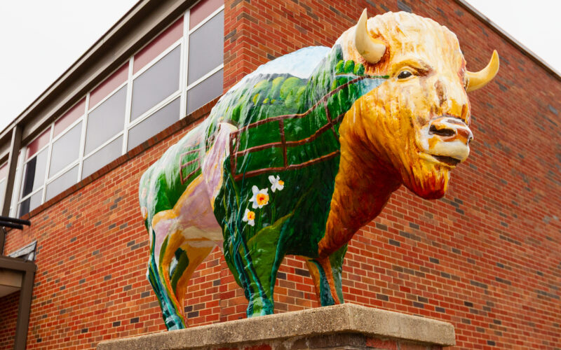 2013 buffalo school