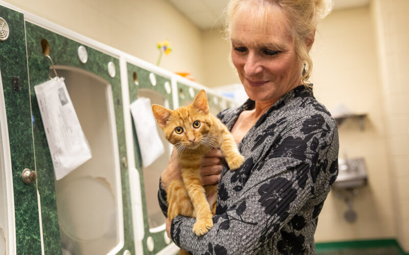 Arfy19 humane society main hero 1