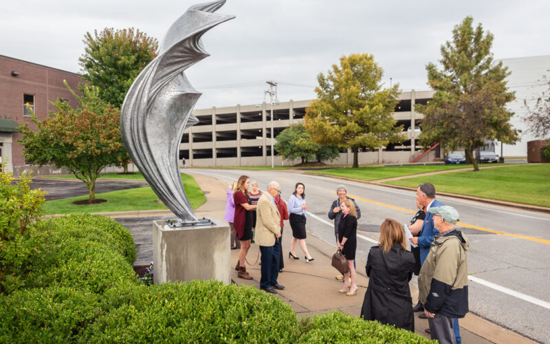 Billowing sculpture reveal 1
