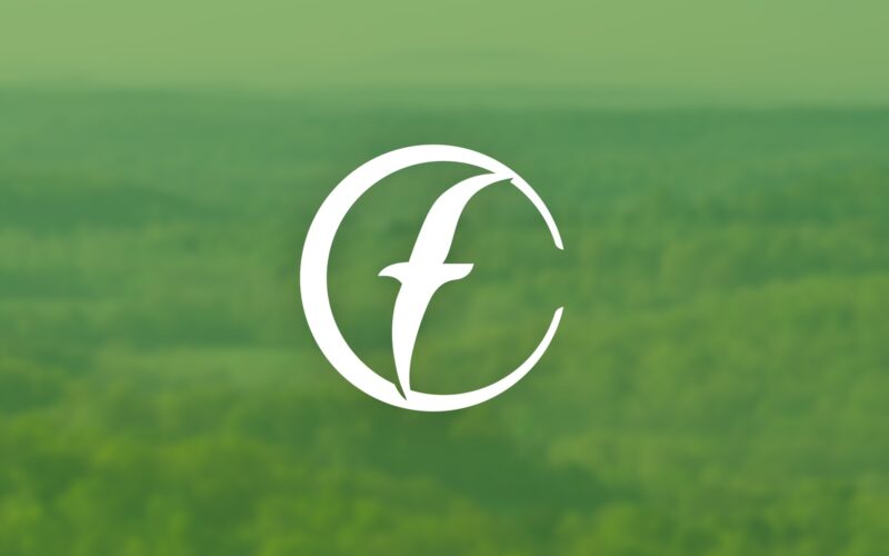Cfo stories resources hero