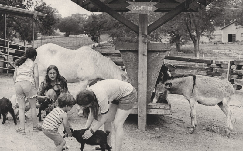 Dickerson park zoo petting hero