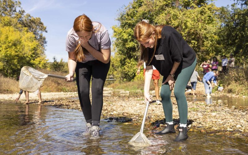 Two college students use nets to collect samples from a stream while others conduct similar activities in the background at Roaring River State Park.