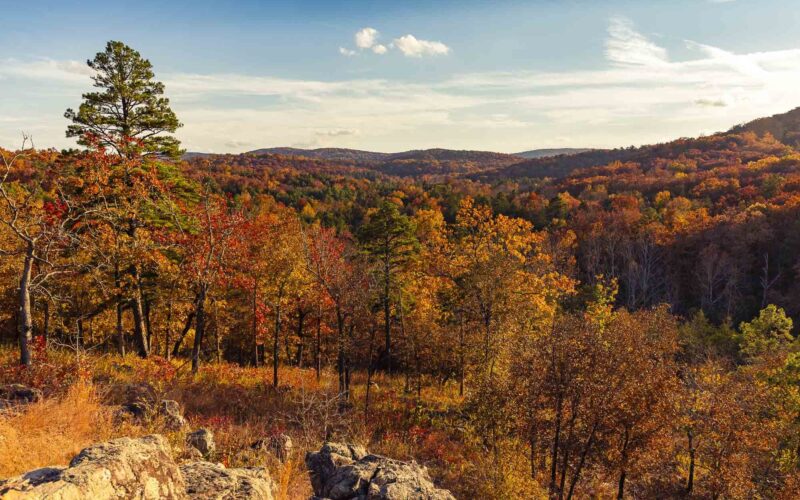 View of hills in the Ozarks, with colorful red, orange, and gold foliage stretching across a forested landscape beneath a clear blue sky.