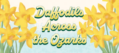 Daffodils fb banner