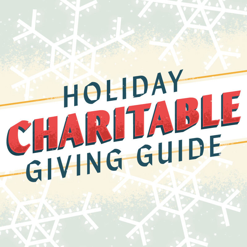 Giving guide graphic 800x800
